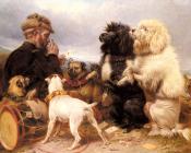 理查德 安斯德尔 : The Lucky Dogs